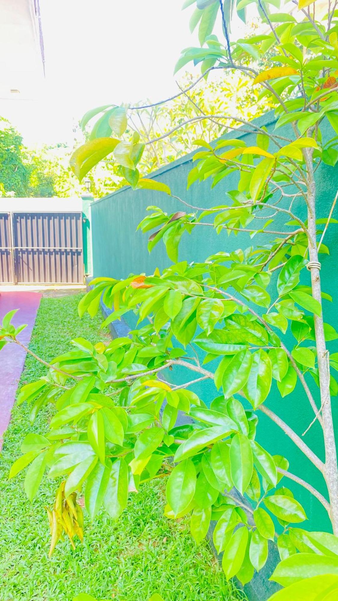 Sanasuma Villa Bentota Esterno foto